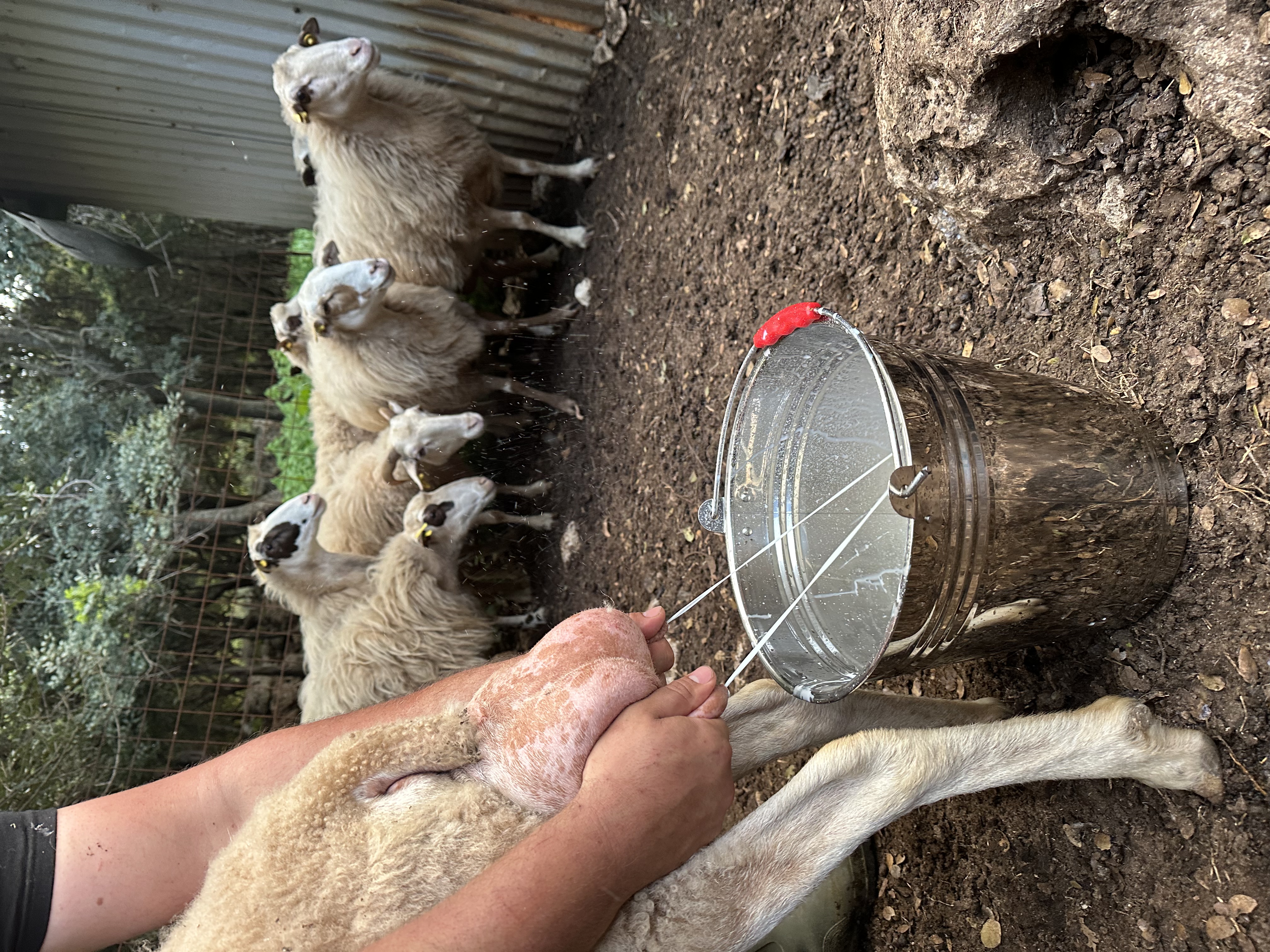 Cooking lesson landscape 5